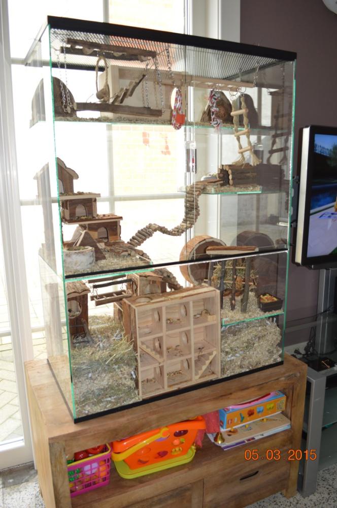 75x40x100 Gerbil / Degoe kooi van glas met schuifruiten